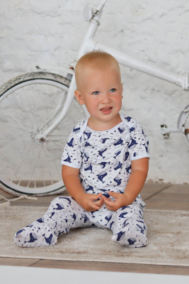 d8c932db-9988-47e8-a919-69b8d1056666