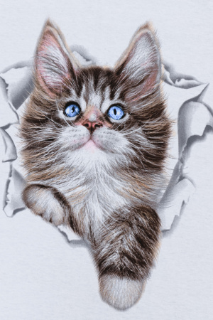 432de608-e556-4351-a1bd-06926f1995f9