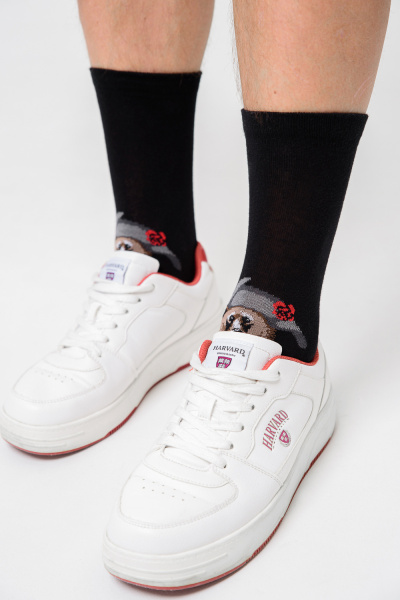 e81b1633-364b-492e-b89a-50a9da8d2726