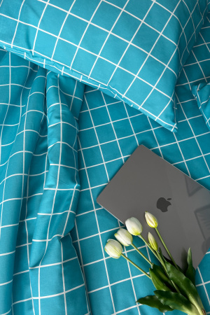 dcd2af70-c385-41c2-a769-4e625bcba9cd